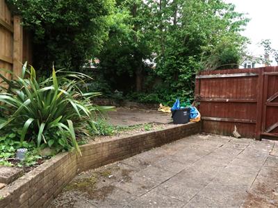 Picture 19